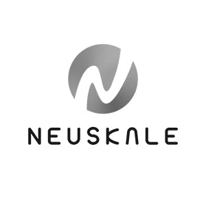 Neuskale Title Search Logo